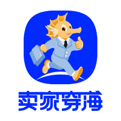 卖家穿海AI选品